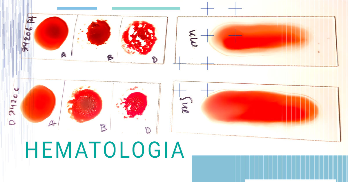 Hematologia
